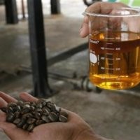 Transportasi akan Diwajibkan Pakai Bahan Bakar Nabati